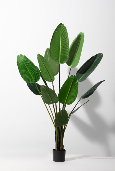 Изображение Декор Растение, Картинка 1